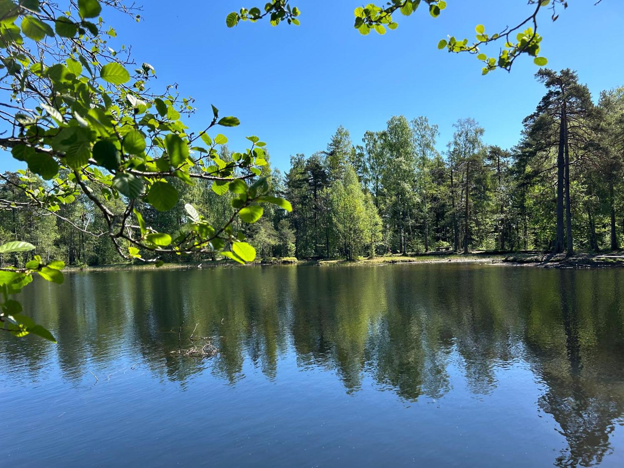 Hallingstua Oslo Bagian luar foto